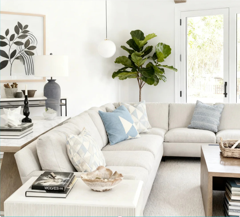 Pillows & Decor